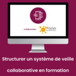 Structurer_systeme_veille_collaborative_formation