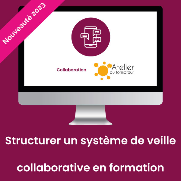 Stucturer systeme veille collaborative formation nouveaute 2023